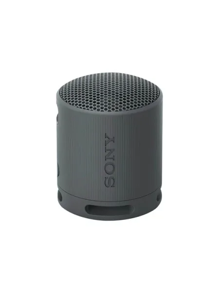 Sony SRS-XB100